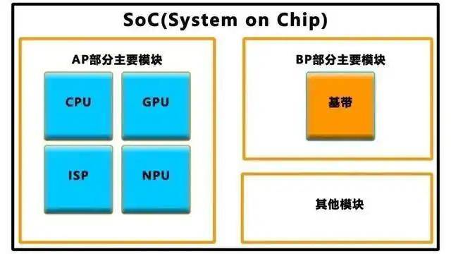 仅葬马头不葬马身 叶县楚墓葬俗奇异
